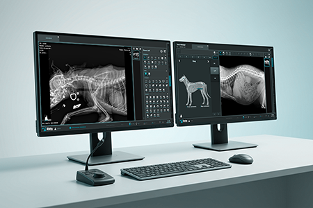 Software Veterinaria